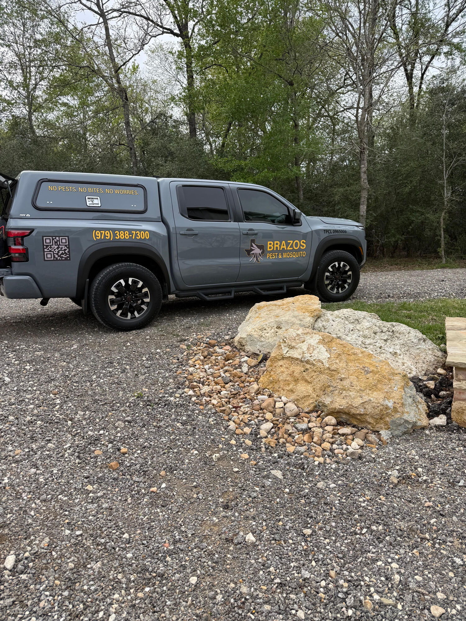 Professional pest control service in a lush green backyard